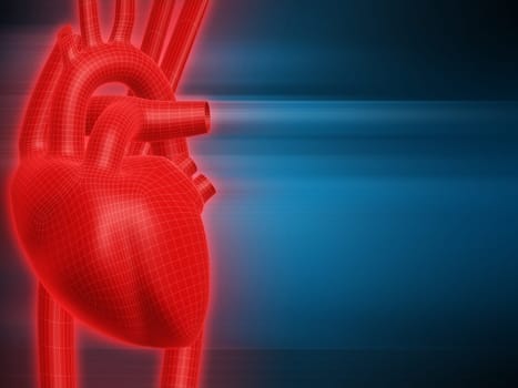 3d rendered anatomy illustration of a red human heart