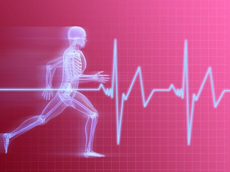 3d rendered anatomy illustration of a running skeleton with heartbeat