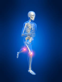 3d rendered anatomy illustration of a running skeleton with painful knees
