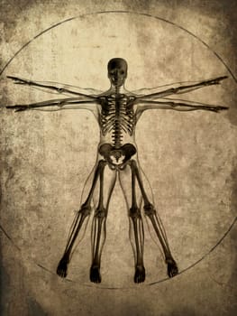 3d rendered illustration of an old paper with a human skeleton