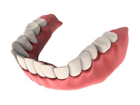 3d rendered illustration of human teeth