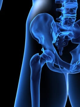 3d rendered x-ray illustration of a human hip