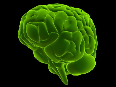 3d rendered anatomy illustration of a green human brain