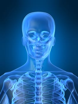 3d rendered x-ray illustration of a human head