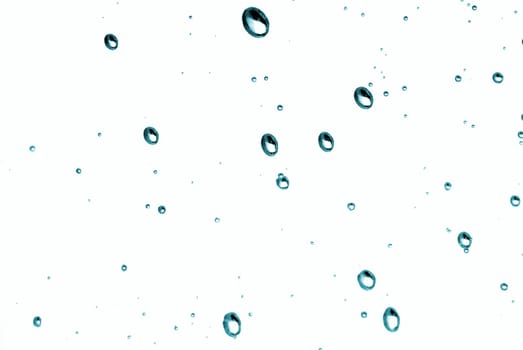 blue water bubbles isolated on white background