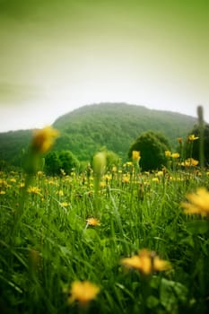 landscape view. Great shoot. Great image
