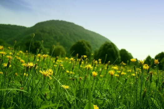 landscape view. Great shoot. Great image
