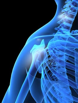 3d rendered x-ray illustration of a human shoulder