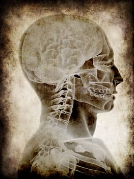 3d rendered illustration of an old paper with a human head