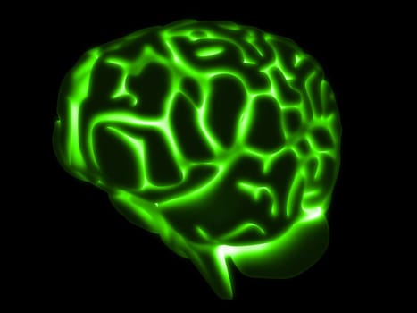 3d rendered anatomy illustration of a green glowing brain