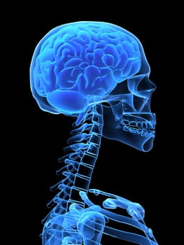 3d rendered x-ray illustration of a human head with brain
