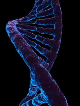 3d rendered illustration of a double helix