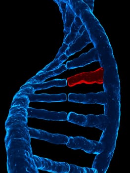 3d rendered illustration of a double helix