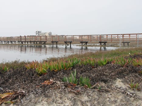 bridge across wetlands
