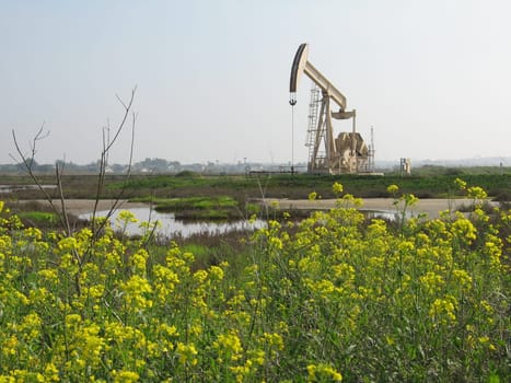 its an oil rig in some wetlands