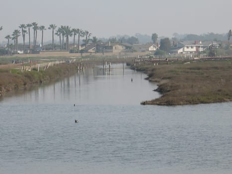 wetlands in southern california