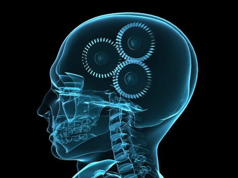 3d rendered x-ray illustration of a human head with gears