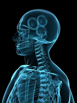 3d rendered x-ray illustration of a human head with gears