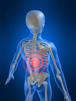 3d rendered anatomy illustration of a human skeletal back with pain