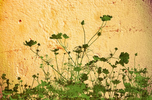flower abstract textures and backgrounds