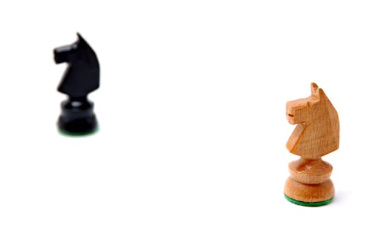 Two horses
