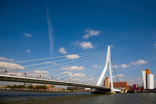 The Erasmus bridge in Rotterdam, Holland