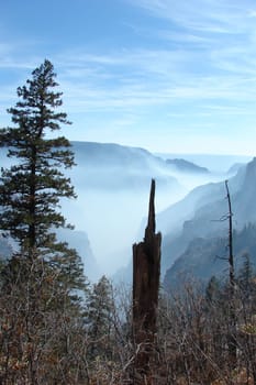 During the month of October there were controlled burns at the North Rim of the Grand Canyon. These were taken from the North Kaibab and Bright Angel trails.