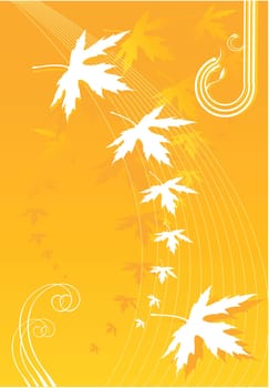 Floral design vectors