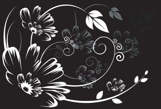 Floral design vectors