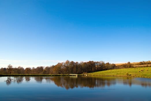 beautiful view of the landscape