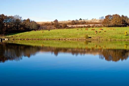 beautiful view of the landscape