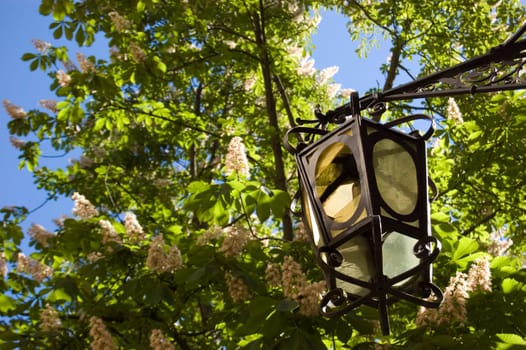 A street lamp in stockholm