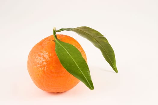 Small orange on a clear background