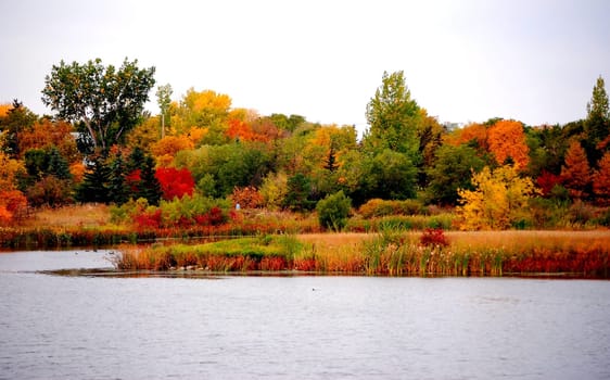 beauty of nature captured in a landscape,revealing all the beautiful colors of fall