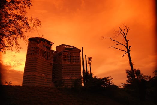 sunset, tree and modern building in the parks