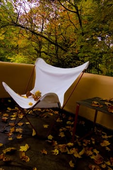 from Fallingwater