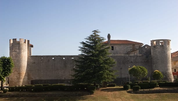 Medieval castle in the village