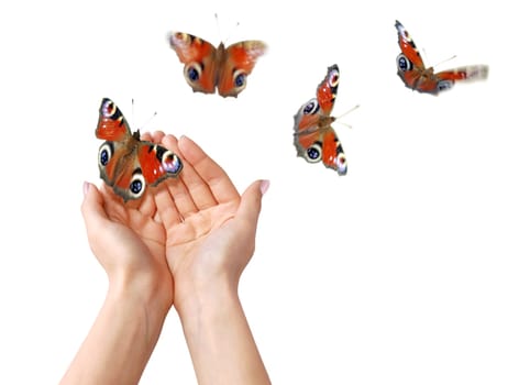 hands with butterfies