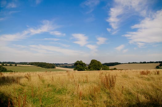 a sunny summer's day in the English countryside