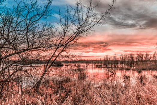 Untouched nature in the biotope nature reserve Markkleeberg at the Crostewitzer Graben