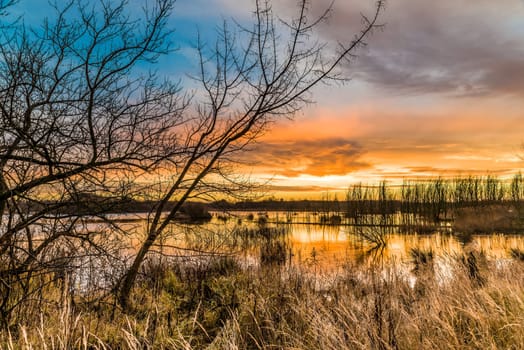 Untouched nature in the biotope nature reserve Markkleeberg at the Crostewitzer Graben