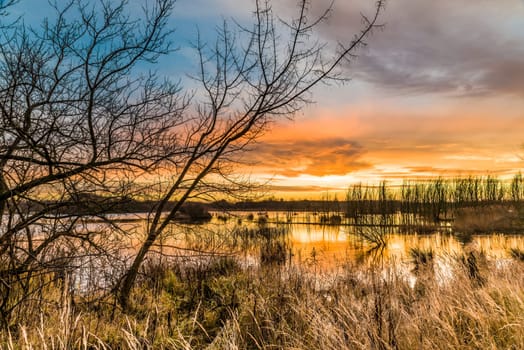 Untouched nature in the biotope nature reserve Markkleeberg at the Crostewitzer Graben