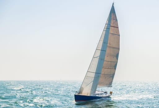 Sport sailors on the open sea against the light