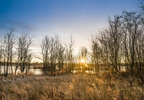 Untouched nature in the biotope nature reserve Markkleeberg at the Crostewitzer Graben