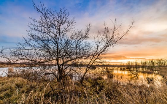 Untouched nature in the biotope nature reserve Markkleeberg at the Crostewitzer Graben