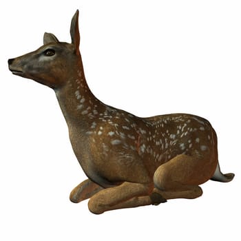 3D Render