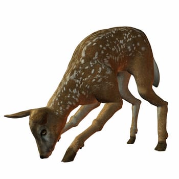 3D Render