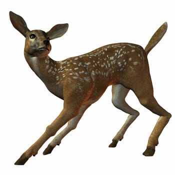 3D Render