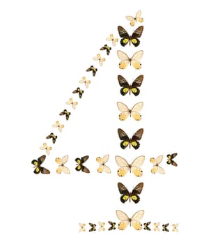 Four number butterfly show isolated