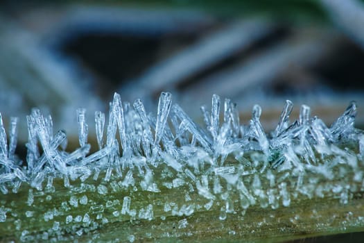 Ice crystals on a blade of grass in winter. Close up of frozen water. Macro shot from nature